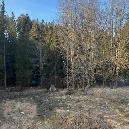 Lesniczowka Zieleniec