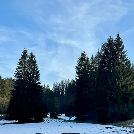Lesniczowka Zieleniec Gasthof Duszniki Zdrój
