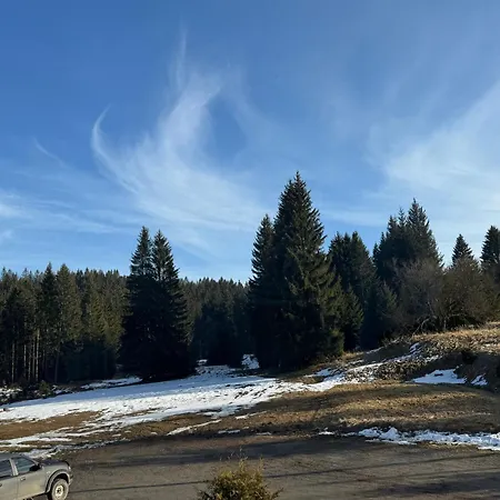 Pensión Leśniczówka Zieleniec