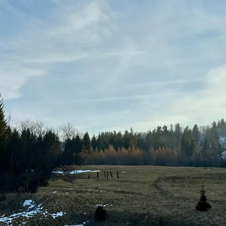 Lesniczowka Zieleniec