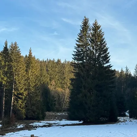 Leśniczówka Zieleniec Pensión 3*