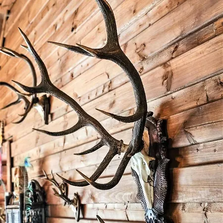 Leśniczówka Zieleniec Pensión 3*