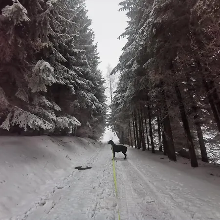 Gasthof Lesniczowka Zieleniec 3*
