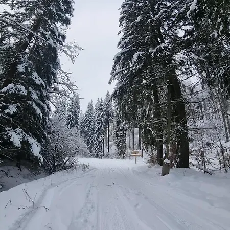 Leśniczówka Zieleniec Pensión Duszniki Zdrój