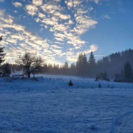 Leśniczówka Zieleniec Pensión Duszniki Zdrój