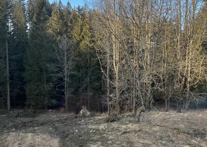 Leśniczówka Zieleniec