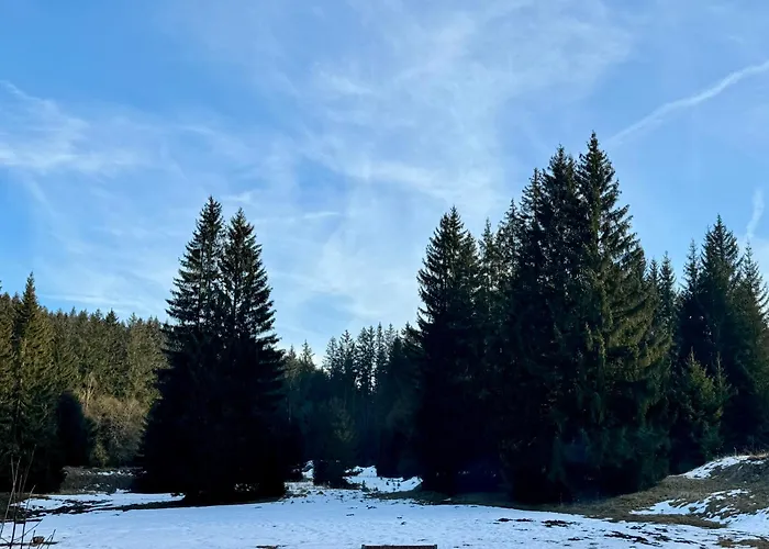 Leśniczówka Zieleniec Pensjonat Duszniki Zdrój