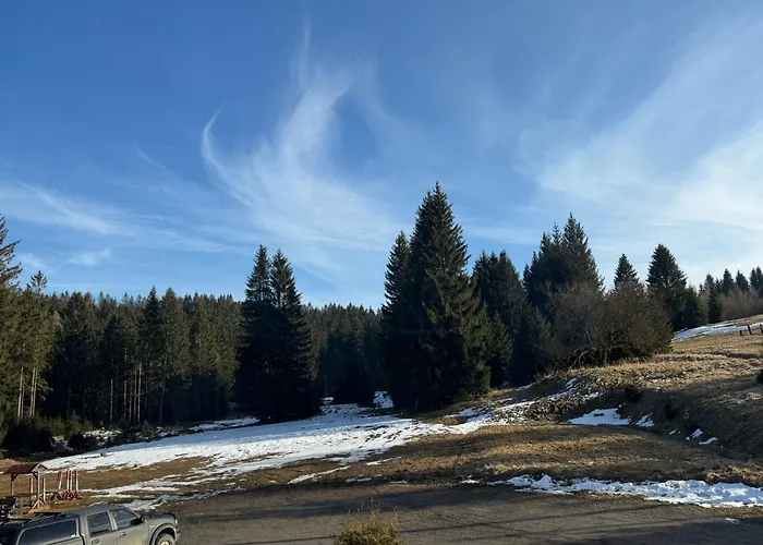 Pensjonat Leśniczówka Zieleniec