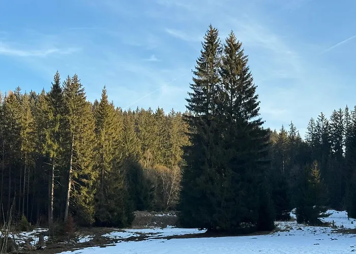 Leśniczówka Zieleniec Pensjonat 3*