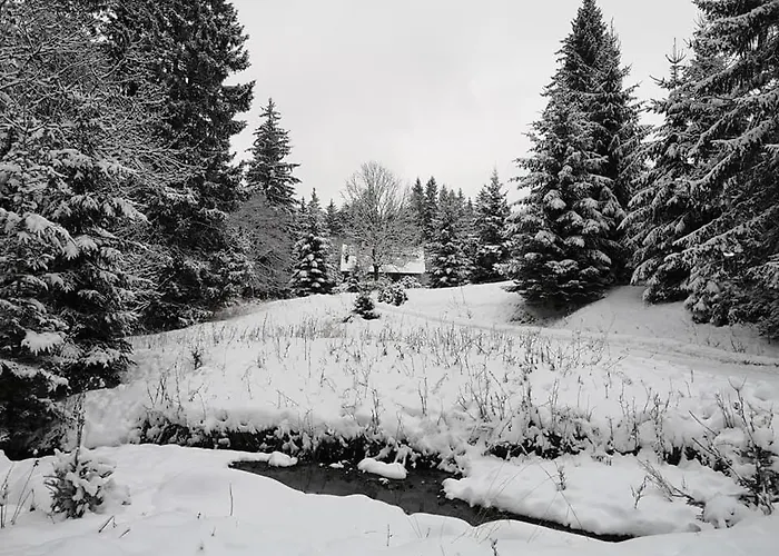 Pensjonat Leśniczówka Zieleniec