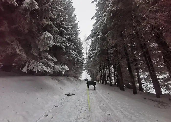 Pensjonat Leśniczówka Zieleniec 3*