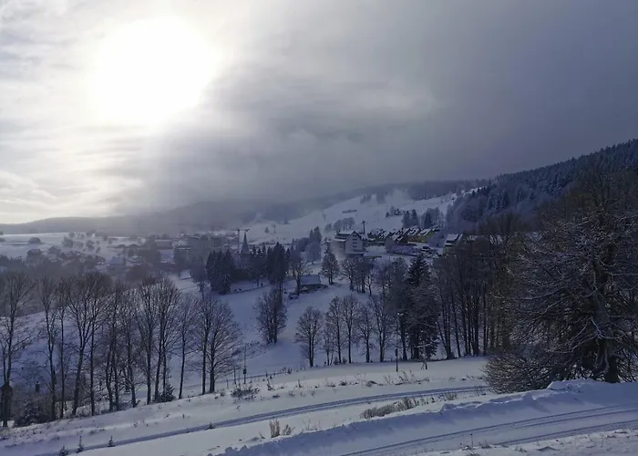 Leśniczówka Zieleniec Duszniki Zdrój