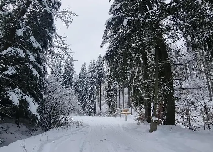 Leśniczówka Zieleniec Pensjonat Duszniki Zdrój