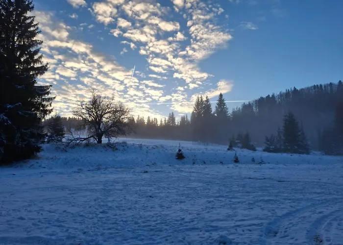 Leśniczówka Zieleniec Pensjonat Duszniki Zdrój