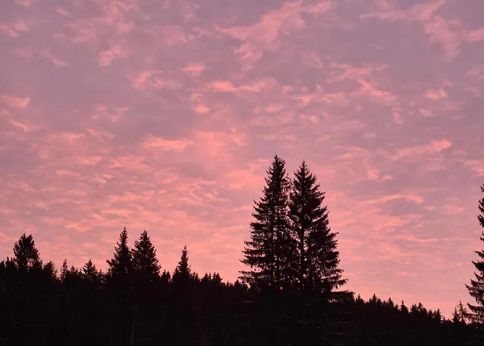 Leśniczówka Zieleniec Pensjonat Duszniki Zdrój