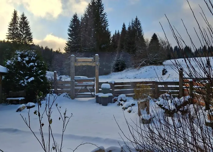 Leśniczówka Zieleniec Duszniki Zdrój