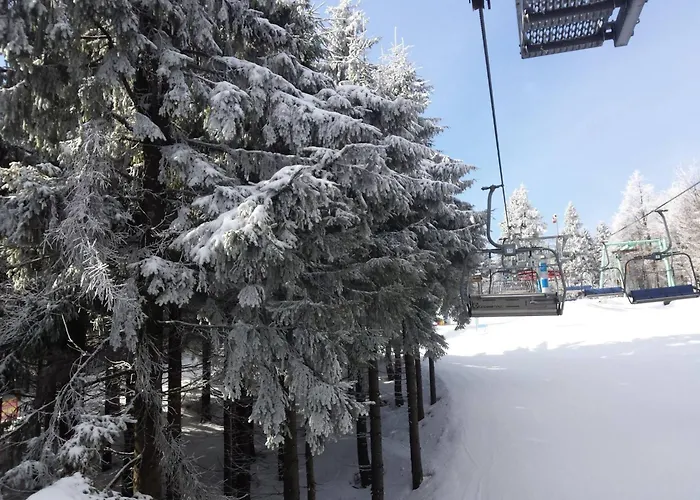 Pensjonat Leśniczówka Zieleniec