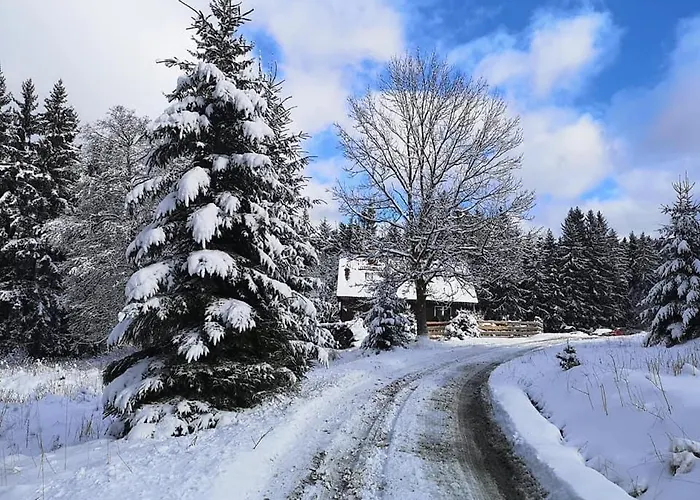 Leśniczówka Zieleniec 3*